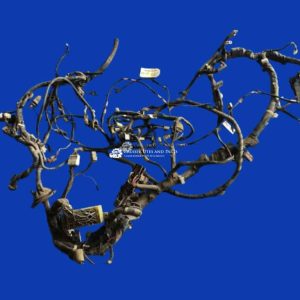 Toyota Landcruiser VDJ76 VDJ78 VDJ79 Wiring harness (1/07 - 7/09) 17014 2nd hand